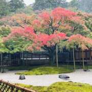 ヒメ日記 2024/12/26 19:05 投稿 しょう 待ちナビ