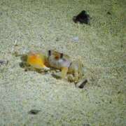 ヒメ日記 2024/12/27 17:55 投稿 しょう 待ちナビ