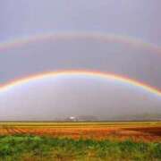 ヒメ日記 2024/12/28 20:15 投稿 しょう 待ちナビ