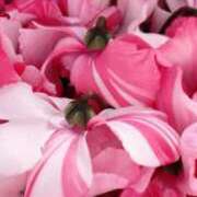 ヒメ日記 2024/12/28 21:06 投稿 しょう 待ちナビ