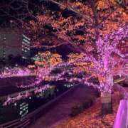 ヒメ日記 2024/12/30 15:21 投稿 しょう 待ちナビ