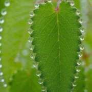 ヒメ日記 2025/01/10 19:49 投稿 しょう 待ちナビ