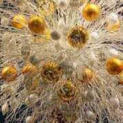 ヒメ日記 2025/01/12 21:32 投稿 しょう 待ちナビ