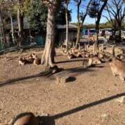 ヒメ日記 2025/01/25 12:45 投稿 しょう 待ちナビ