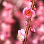 ヒメ日記 2025/03/12 19:15 投稿 しょう 待ちナビ