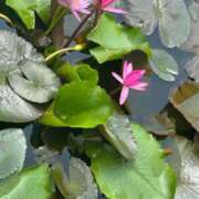 ヒメ日記 2025/03/16 21:05 投稿 しょう 待ちナビ