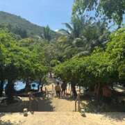 ヒメ日記 2025/03/17 18:35 投稿 しょう 待ちナビ