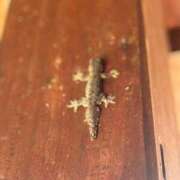 ヒメ日記 2025/03/22 22:35 投稿 しょう 待ちナビ