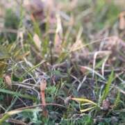 ヒメ日記 2025/03/26 17:39 投稿 しょう 待ちナビ