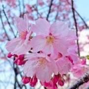 ヒメ日記 2025/03/26 20:55 投稿 しょう 待ちナビ