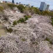 ヒメ日記 2025/03/29 21:35 投稿 しょう 待ちナビ