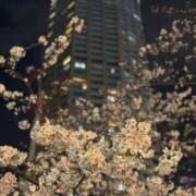 ヒメ日記 2025/04/05 21:53 投稿 しょう 待ちナビ