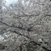 ヒメ日記 2025/04/08 19:15 投稿 しょう 待ちナビ