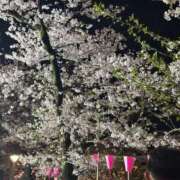 ヒメ日記 2025/04/09 18:15 投稿 しょう 待ちナビ