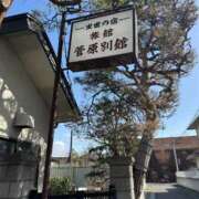 ヒメ日記 2025/04/09 20:25 投稿 しょう 待ちナビ