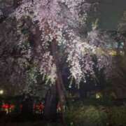 ヒメ日記 2025/04/10 15:53 投稿 しょう 待ちナビ