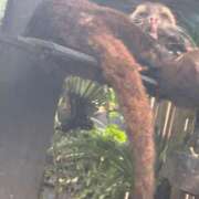 ヒメ日記 2025/04/10 21:15 投稿 しょう 待ちナビ