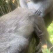 ヒメ日記 2025/04/11 18:54 投稿 しょう 待ちナビ