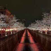 ヒメ日記 2025/04/12 19:57 投稿 しょう 待ちナビ