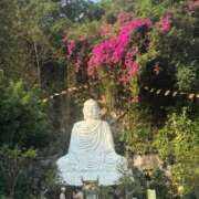 ヒメ日記 2025/04/20 18:17 投稿 しょう 待ちナビ