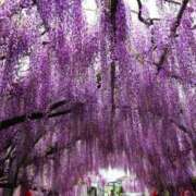 ヒメ日記 2025/04/24 22:05 投稿 しょう 待ちナビ