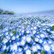 ヒメ日記 2025/04/25 22:40 投稿 しょう 待ちナビ