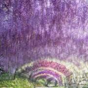 ヒメ日記 2025/04/27 22:45 投稿 しょう 待ちナビ