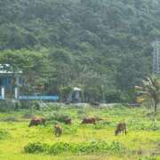 ヒメ日記 2025/04/29 10:35 投稿 しょう 待ちナビ