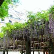 ヒメ日記 2025/04/30 13:26 投稿 しょう 待ちナビ