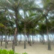 ヒメ日記 2025/05/03 20:05 投稿 しょう 待ちナビ