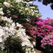 ヒメ日記 2025/05/04 22:05 投稿 しょう 待ちナビ