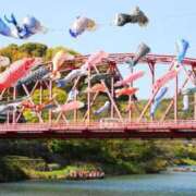 ヒメ日記 2025/05/06 16:15 投稿 しょう 待ちナビ