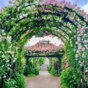 ヒメ日記 2025/05/13 14:22 投稿 しょう 待ちナビ