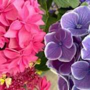 ヒメ日記 2025/05/23 17:34 投稿 しょう 待ちナビ