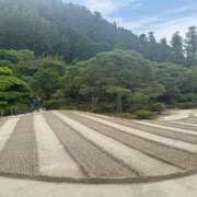 ヒメ日記 2025/05/24 13:00 投稿 しょう 待ちナビ