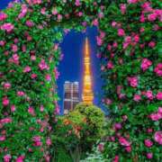 ヒメ日記 2025/05/24 20:15 投稿 しょう 待ちナビ