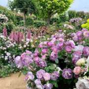 ヒメ日記 2025/06/02 18:05 投稿 しょう 待ちナビ