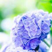 ヒメ日記 2025/06/05 15:45 投稿 しょう 待ちナビ