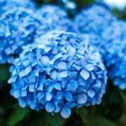 ヒメ日記 2025/06/06 21:39 投稿 しょう 待ちナビ