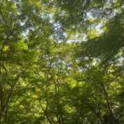 ヒメ日記 2025/06/07 20:01 投稿 しょう 待ちナビ