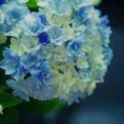 ヒメ日記 2025/06/08 20:19 投稿 しょう 待ちナビ