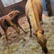 ヒメ日記 2025/06/09 17:15 投稿 しょう 待ちナビ