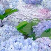 ヒメ日記 2025/06/11 21:05 投稿 しょう 待ちナビ