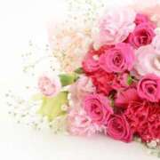 ヒメ日記 2025/06/13 17:05 投稿 しょう 待ちナビ