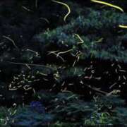 ヒメ日記 2025/06/13 22:15 投稿 しょう 待ちナビ