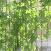 ヒメ日記 2025/06/21 20:18 投稿 しょう 待ちナビ