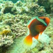 ヒメ日記 2025/06/22 19:10 投稿 しょう 待ちナビ