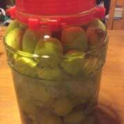 ヒメ日記 2025/06/23 20:35 投稿 しょう 待ちナビ