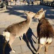 ヒメ日記 2025/06/25 17:35 投稿 しょう 待ちナビ