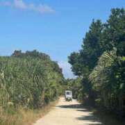 ヒメ日記 2025/06/25 18:35 投稿 しょう 待ちナビ